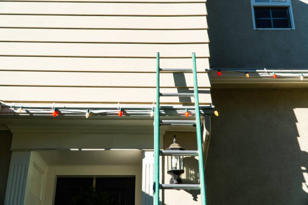 Best Fascia and Soffit Installation  in Edcouch, TX