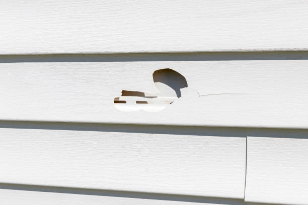 How To Choose The Right Materials for Your Siding Installation in 'Edcouch, TX