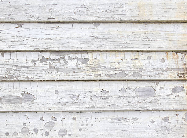 Best Engineered Wood Siding  in Edcouch, TX